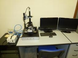 фотография 2